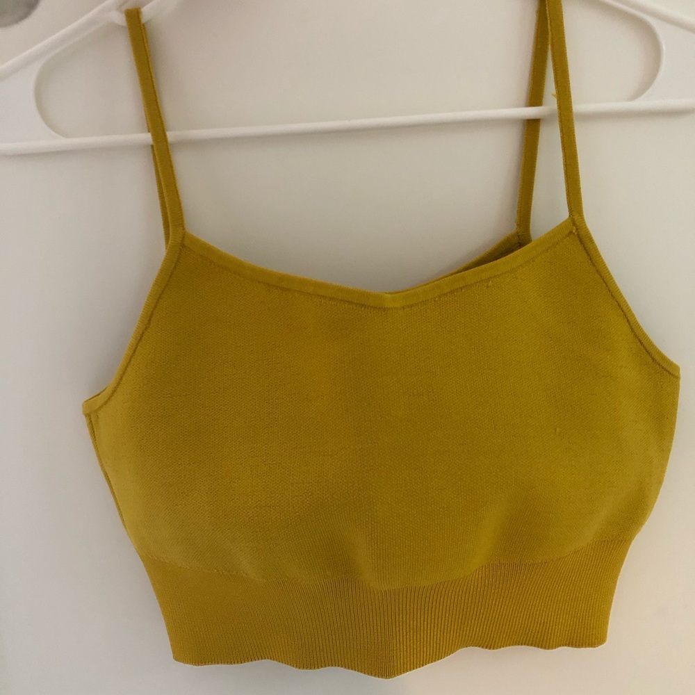 Babaton knit crop